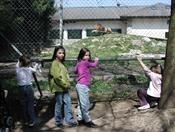 20030520 (11) Zoo Servion avec Leila