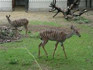 20040919 (10) Zoo de Bale